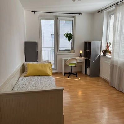 Rental of a spacious 3-room apartment, 105 m², Staré Mesto, Bratislava, Slovakia